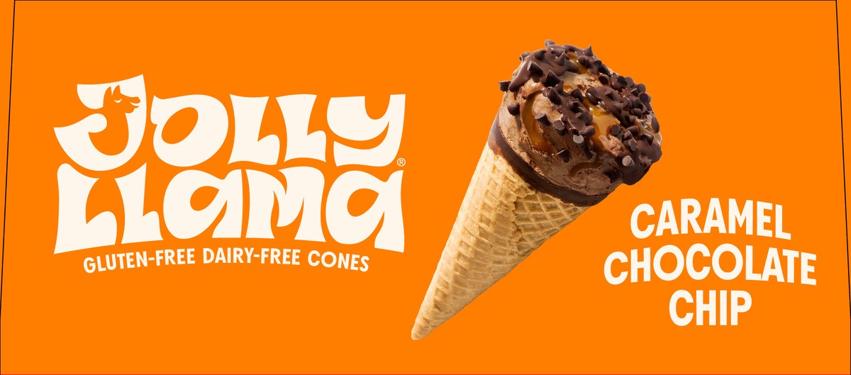 slide 5 of 9, Jolly Llama Gluten Free & Dairy Free Caramel Chocolate Chip Cones, 14.25 fl oz