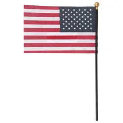 Annin Flagmakers Hand Flag American Flag 1 ea