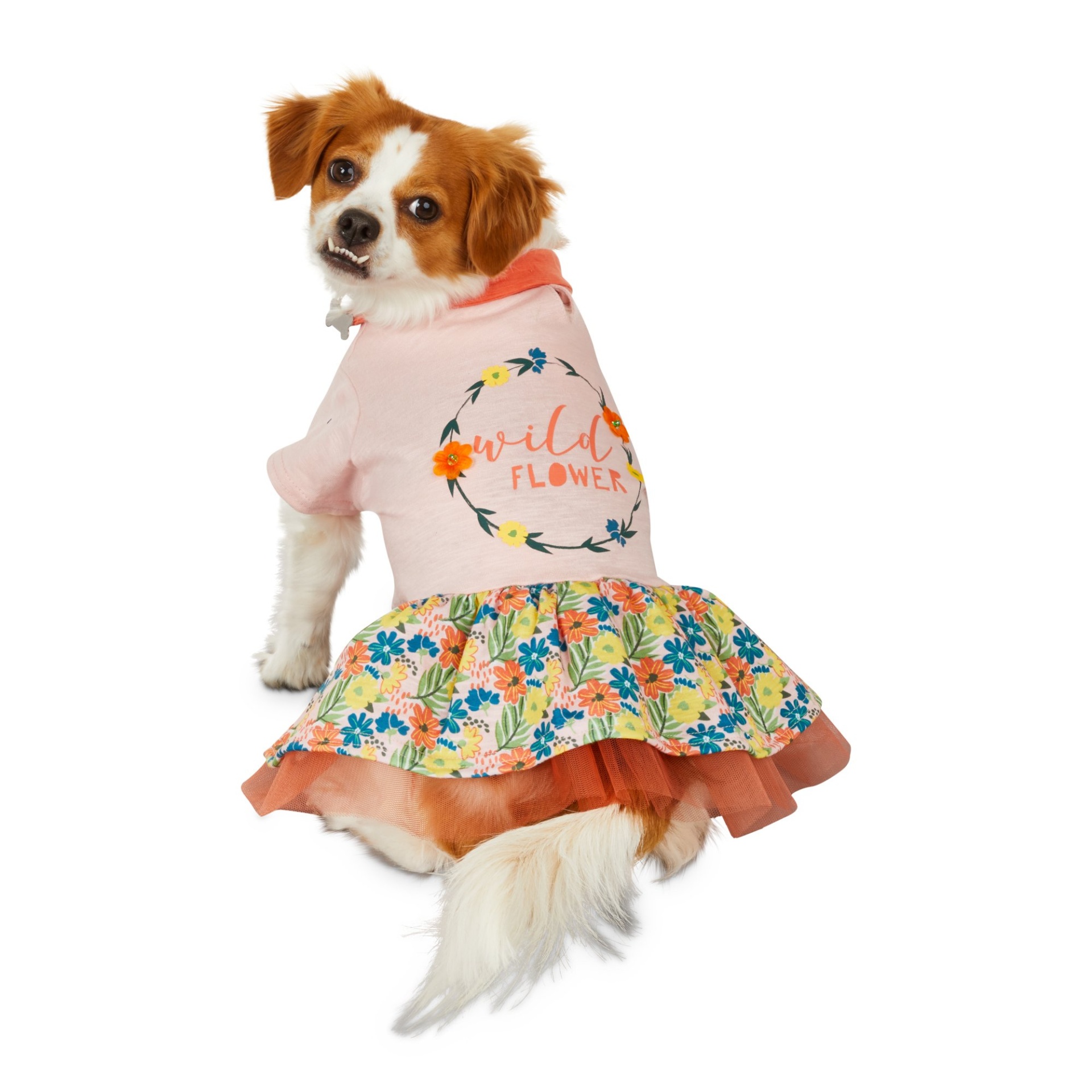 slide 1 of 1, Bond & Co. Wild Flower Dog Dress, SM