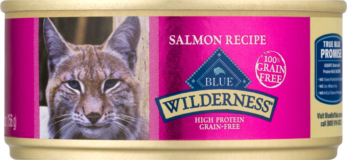 slide 6 of 9, Blue Buffalo Salmon Recipe Cat Food 5.5 oz, 5.5 oz