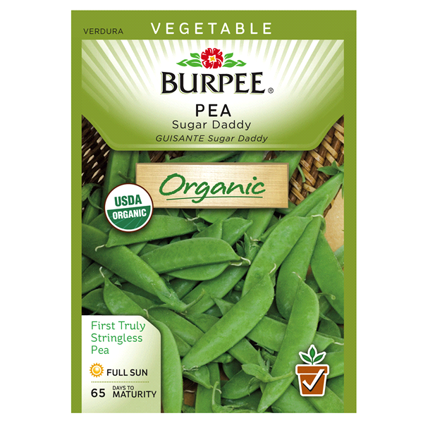 slide 1 of 1, Burpee Pea Sugar Daddy Seeds, 1 ct