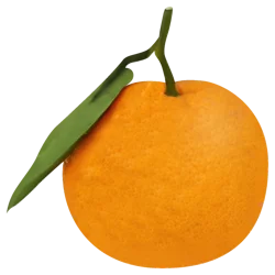 Satsuma Mandarin Oranges