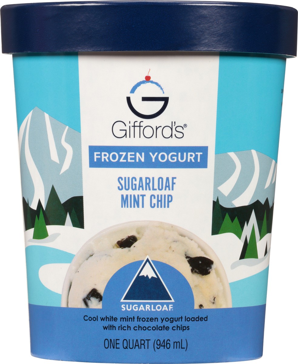 slide 6 of 9, Gifford's Ice Cream Yogurt Sugar Mint Chip, 32 fl oz