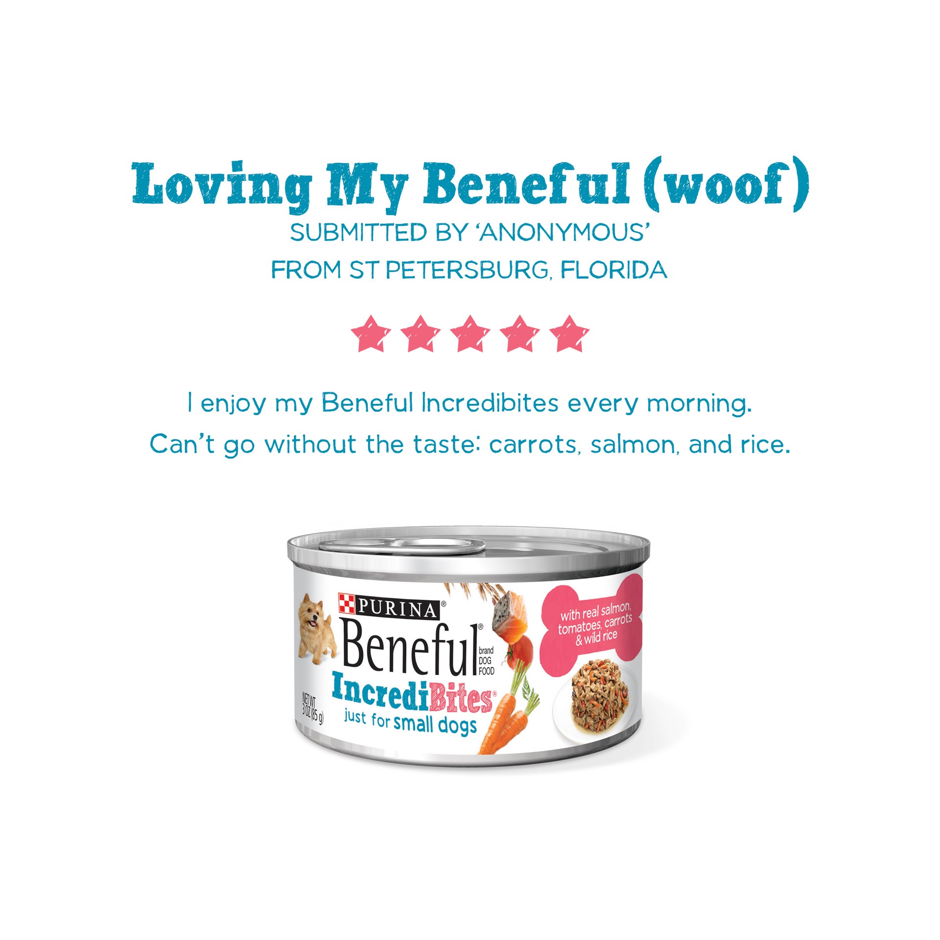 slide 5 of 9, Beneful Purina Beneful Small Breed Wet Dog Food With Gravy, IncrediBites with Real Salmon, 3 ct; 3 oz