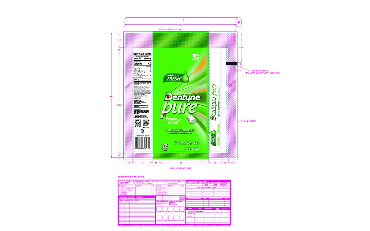 slide 5 of 14, Dentyne Pure Mint with Melon Accents Sugar Free Gum, 3 Packs of 9 Pieces (27 Total Pieces), 0.12 lb