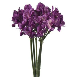 Jolo Farms Assorted Alstroemeria 5 Stem Garden Bunch