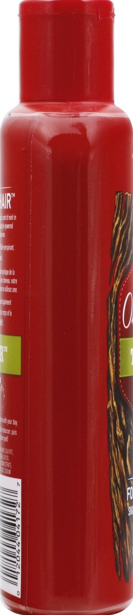 slide 3 of 6, Old Spice Timber with Mint 2-In-1 Shampoo & Conditioner, 12 fl oz