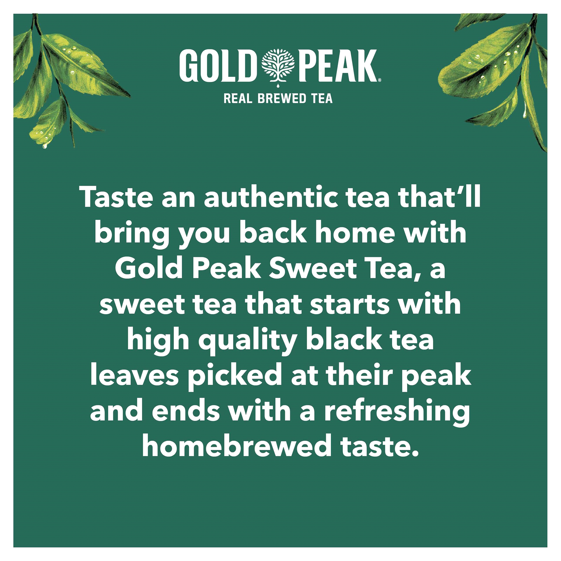 slide 20 of 21, Gold Peak Sweetened Black Iced Tea Drink, 18.5 fl oz, 18.50 fl oz