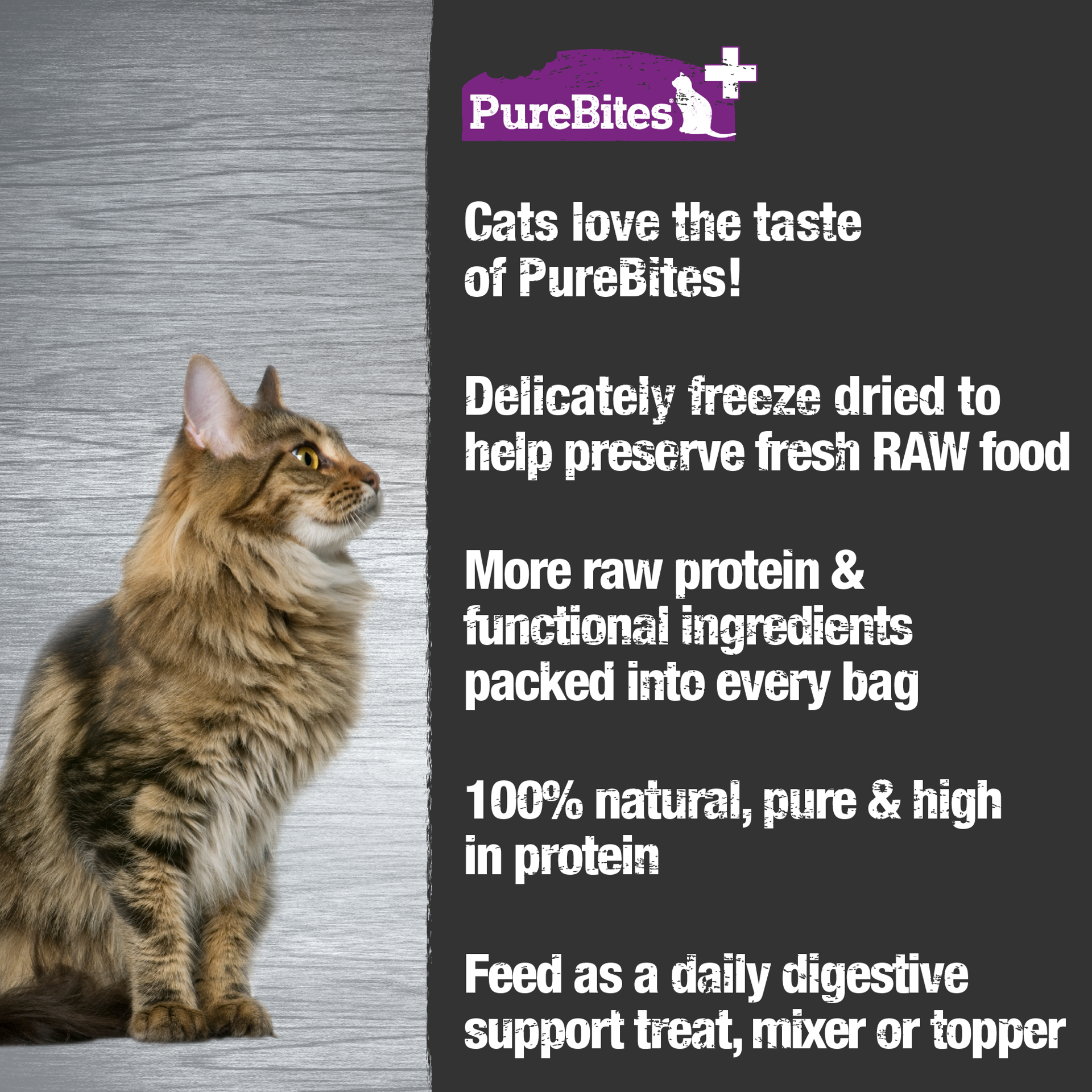 slide 4 of 5, PureBites+ Freeze Dried Cat Treats 1.09oz | Gut & Digestion | 5 Ingredients | Made in USA, 31 g