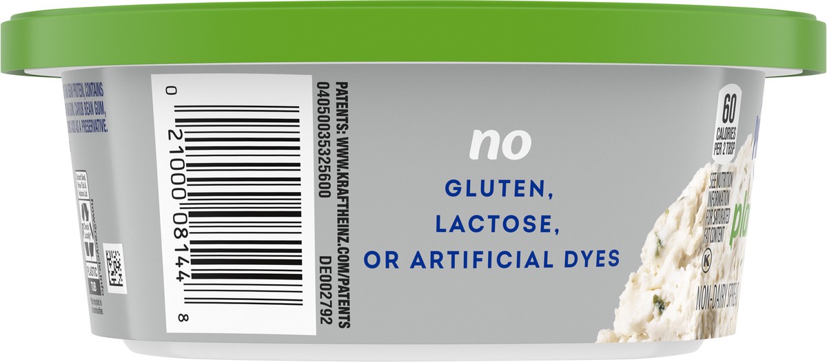 slide 9 of 9, Philadelphia Plant-Based Dairy Free Chive & Onion Cream Cheese Spread, 8 oz Tub, 8 oz