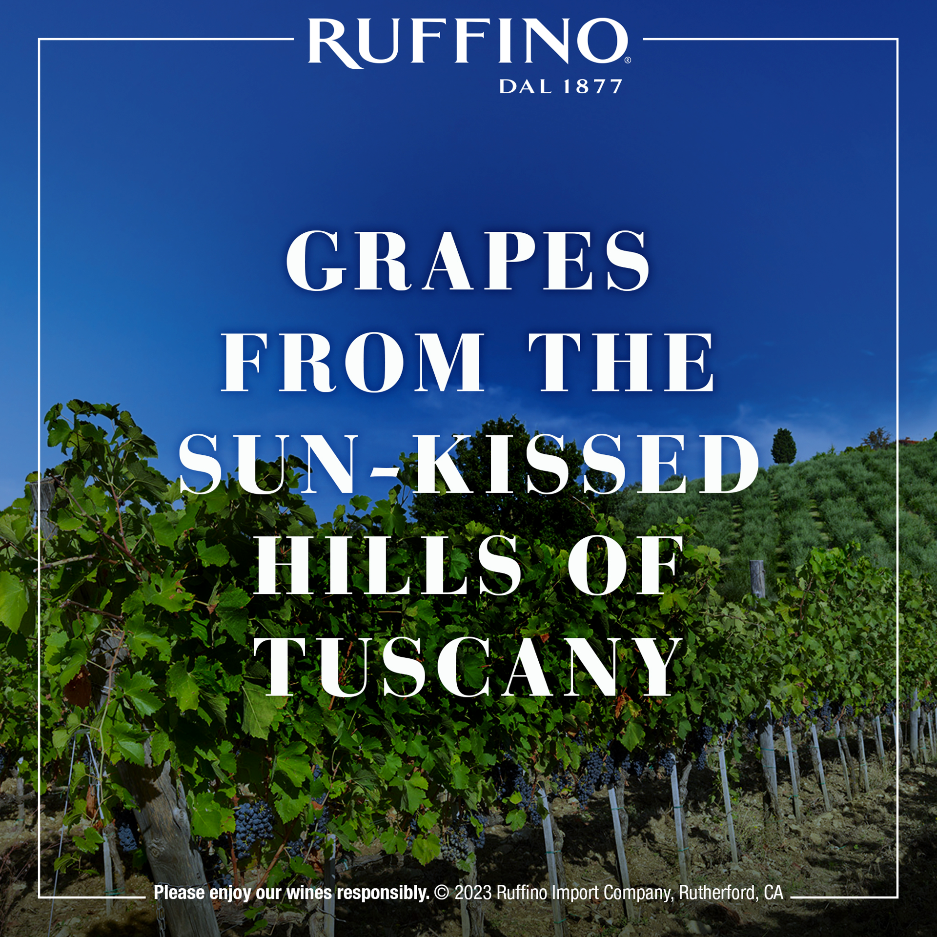 slide 4 of 6, Ruffino Modus Primo Toscana IGT Red Blend, Italian Red Wine, 750 mL Bottle, 25.35 fl. oz