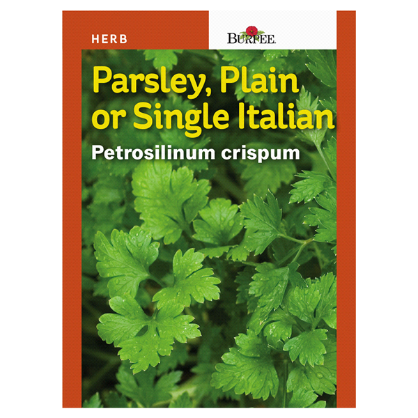 slide 1 of 1, Burpee Herb Parsley Single Italian Plain-Leafed Seeds, 1 ct