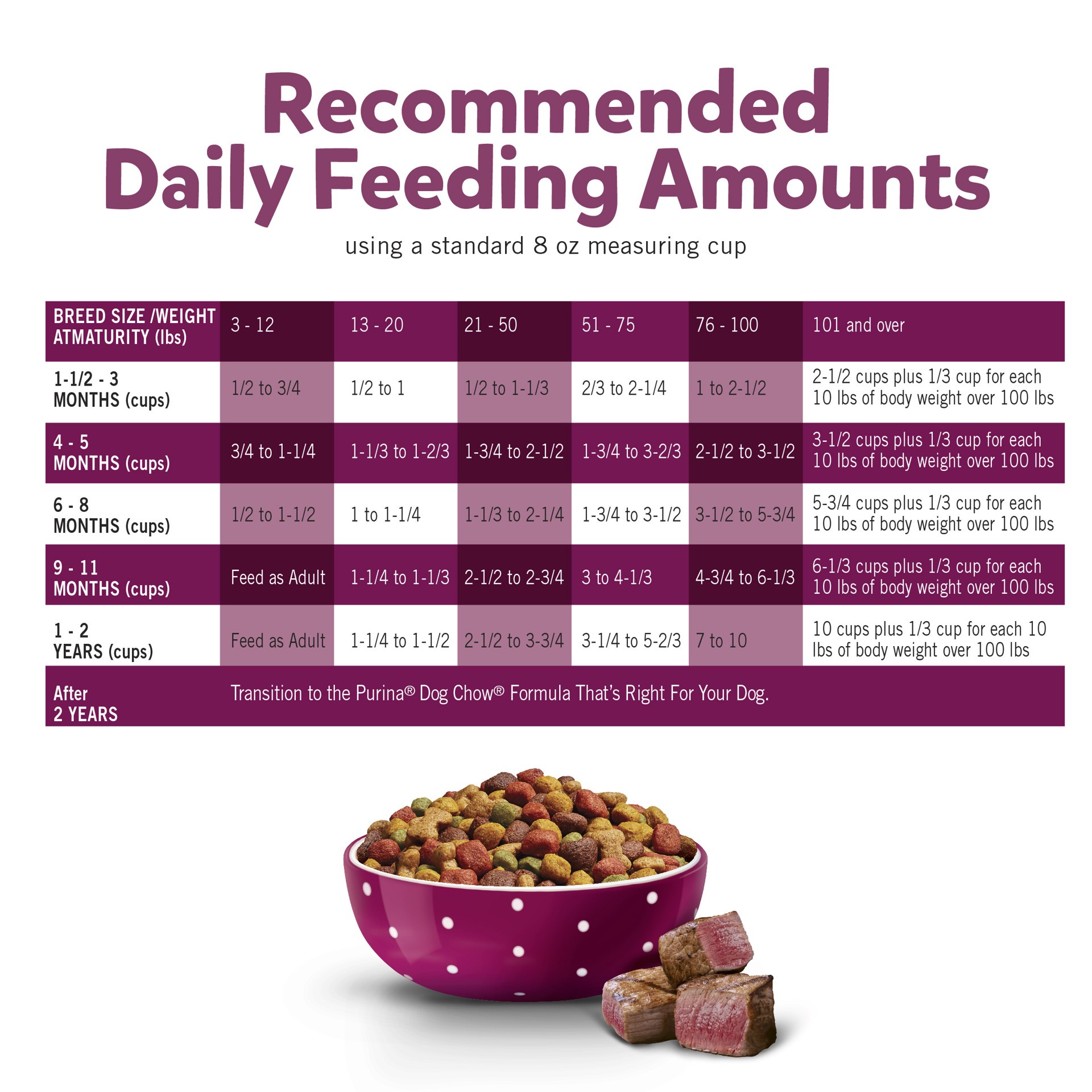 slide 5 of 8, Puppy Chow Purina Puppy Chow High Protein Dry Puppy Food, Tender & Crunchy With Real Beef, 36 lb