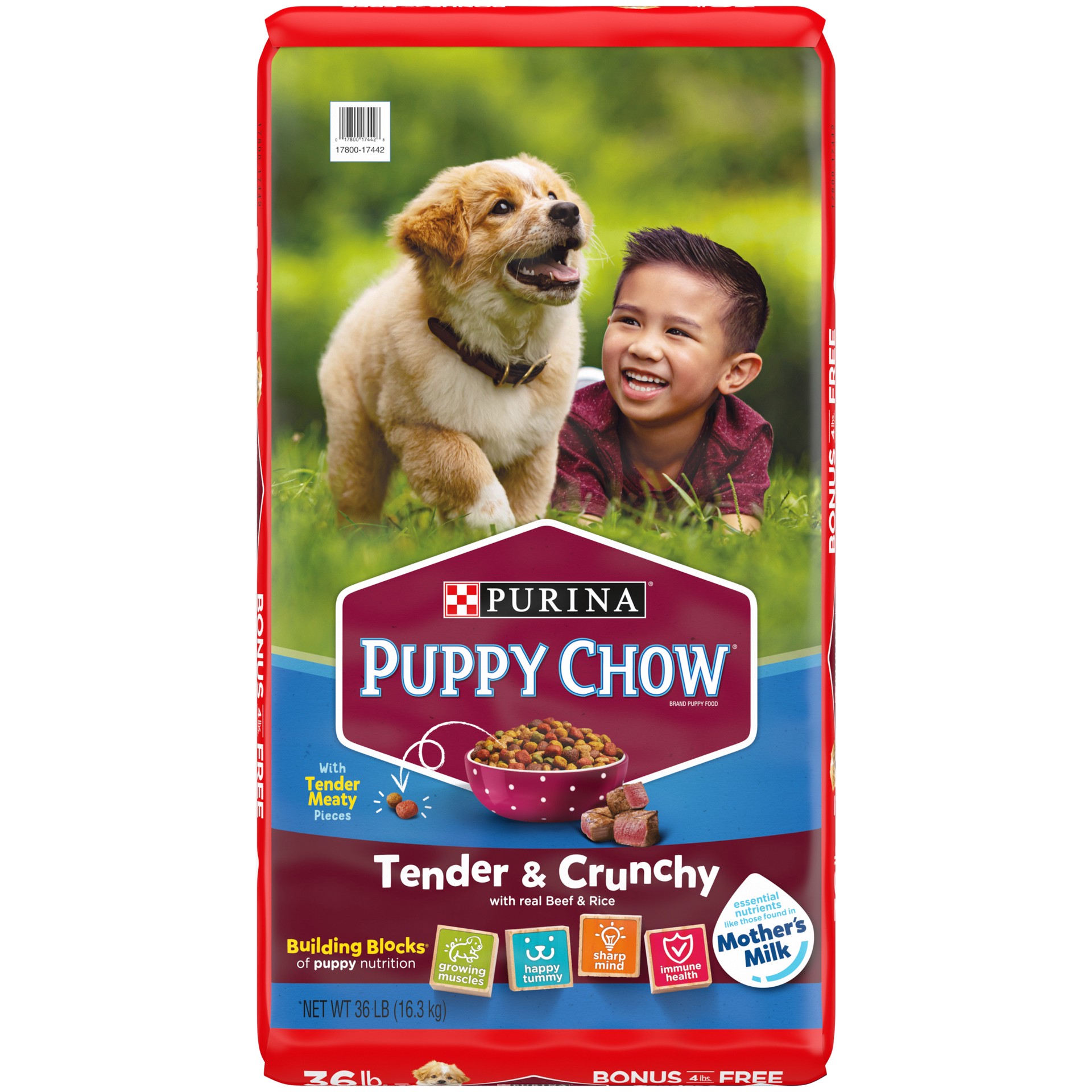 slide 1 of 8, Puppy Chow Purina Puppy Chow High Protein Dry Puppy Food, Tender & Crunchy With Real Beef, 36 lb