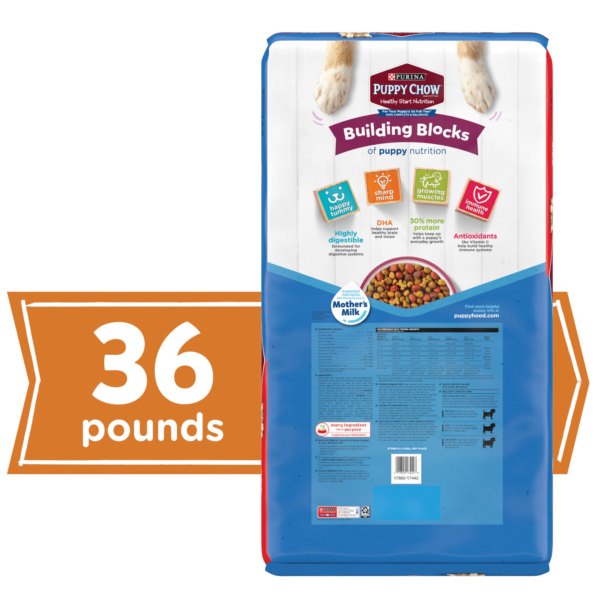 slide 4 of 8, Puppy Chow Purina Puppy Chow High Protein Dry Puppy Food, Tender & Crunchy With Real Beef, 36 lb