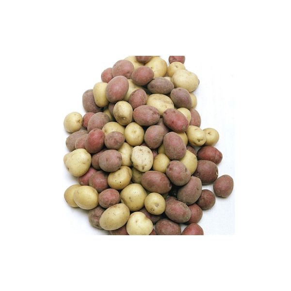 slide 1 of 1, Melissa's Melissas Potatoes Pee Wee Medley - 1.5 Lb, 1.5 lb