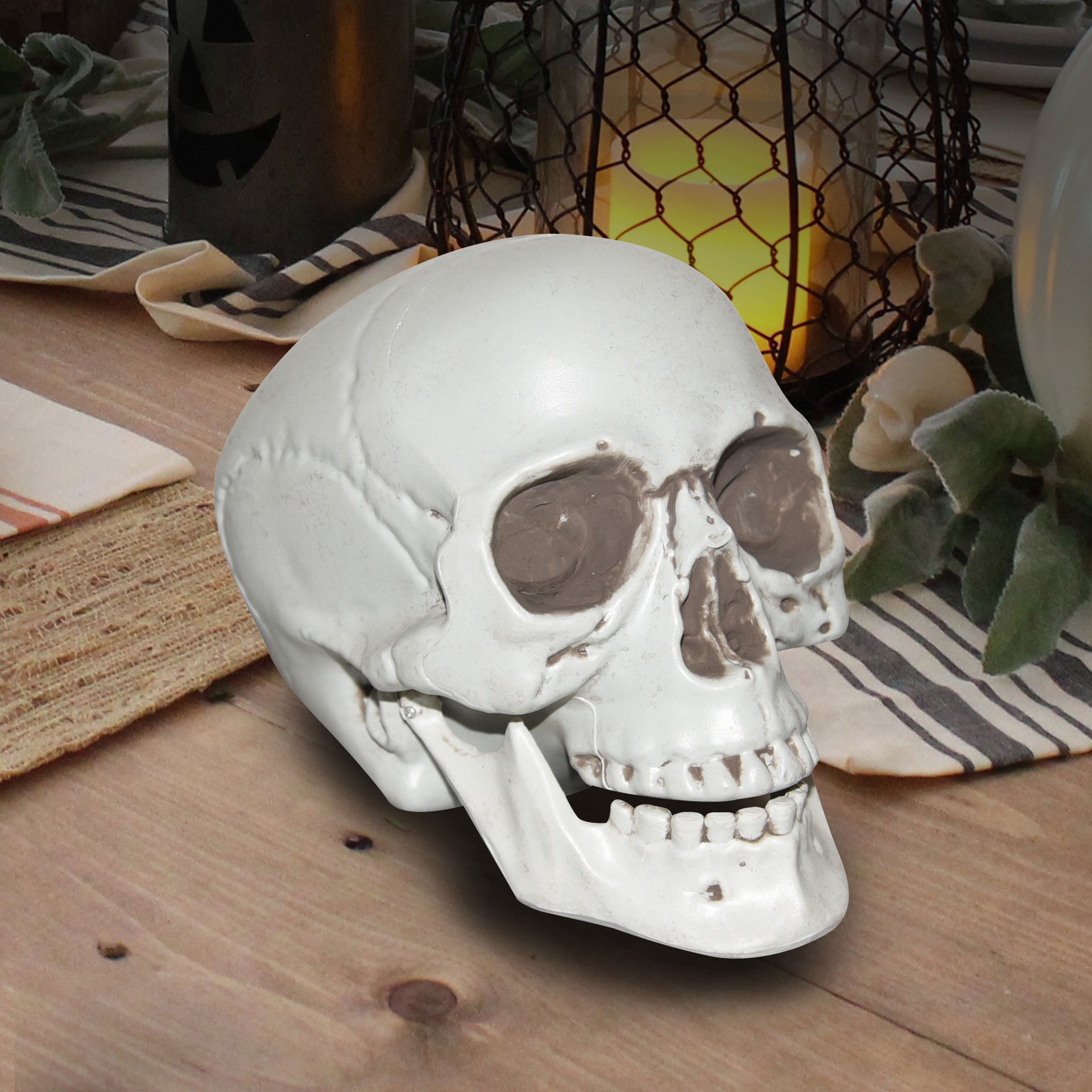 slide 2 of 3, 7" Skull By Ashland, 7 in