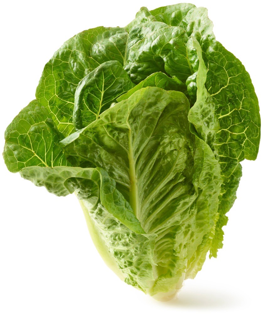 slide 1 of 1, Lettuce Romaine, 1 bunch