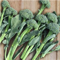 slide 6 of 9, Bonnie Plants Broccoli - Artwork, 606 pk