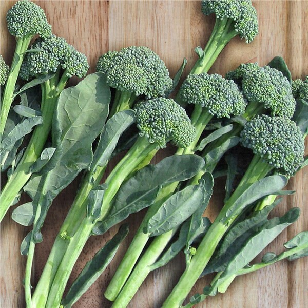 slide 5 of 9, Bonnie Plants Broccoli - Artwork, 606 pk