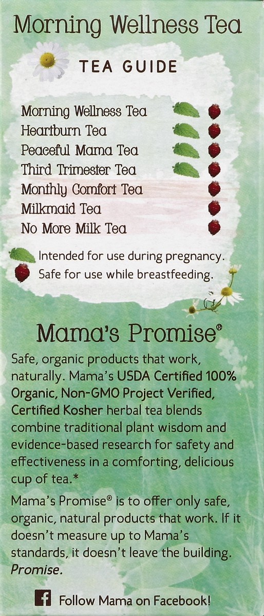 slide 3 of 4, Earth Mama Angel Baby Herbal Tea 16 ea, 16 ct