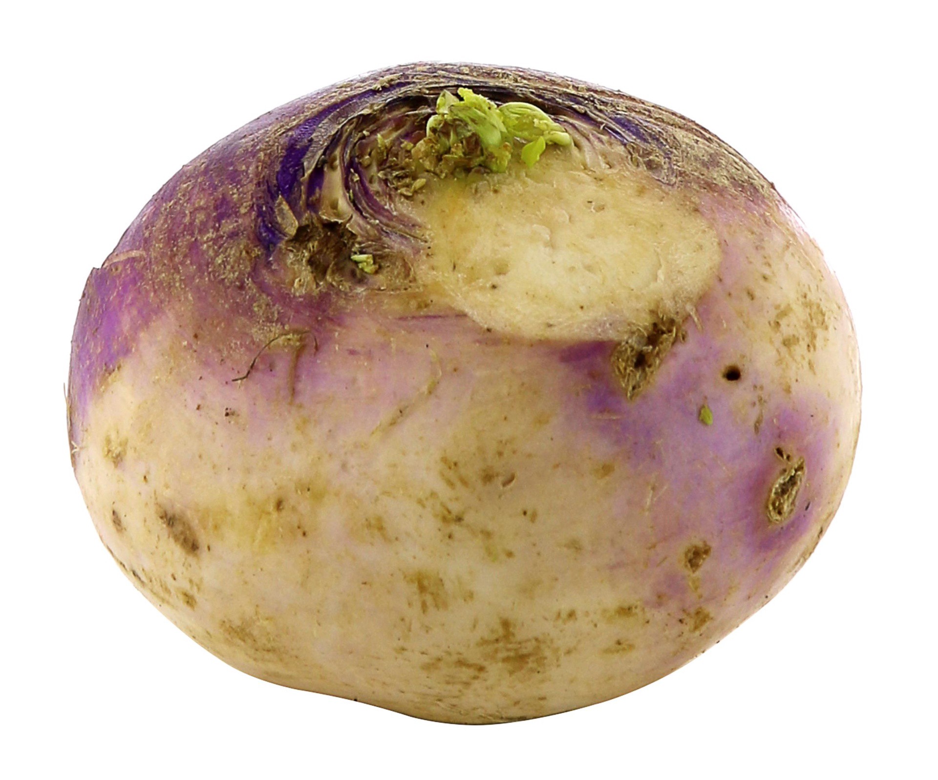 slide 1 of 1, Purple Top Turnip, 1 ct