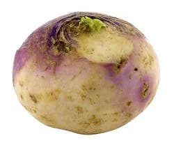 Purple Top Turnip