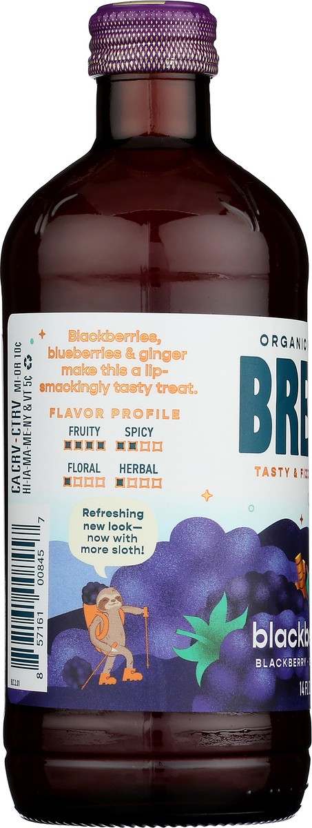 slide 2 of 9, Brew Dr. Brew Dr Kombucha Blackberry Trails - 14 fl oz, 14 fl oz