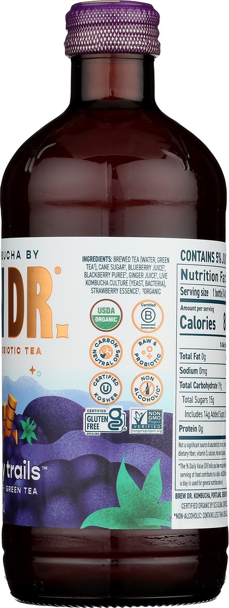 slide 9 of 9, Brew Dr. Brew Dr Kombucha Blackberry Trails - 14 fl oz, 14 fl oz