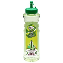 Master of Mixes Master Of Mixes Lime - 12.68 oz