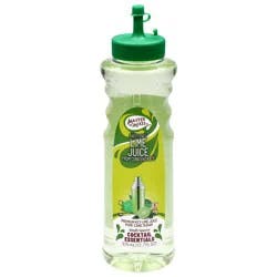 Master of Mixes Master Of Mixes Lime - 12.68 oz