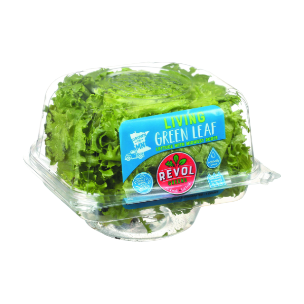 Revol Greens Living Green Leaf Lettuce 1 ct | Shipt