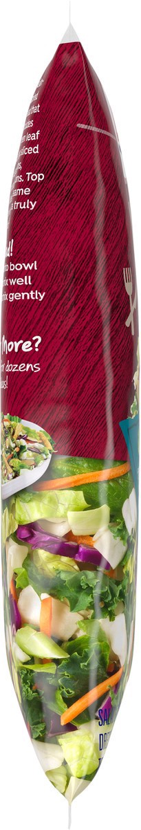 slide 4 of 7, Dole Chopped Sesame Asian Salad Kit, 12.25 oz