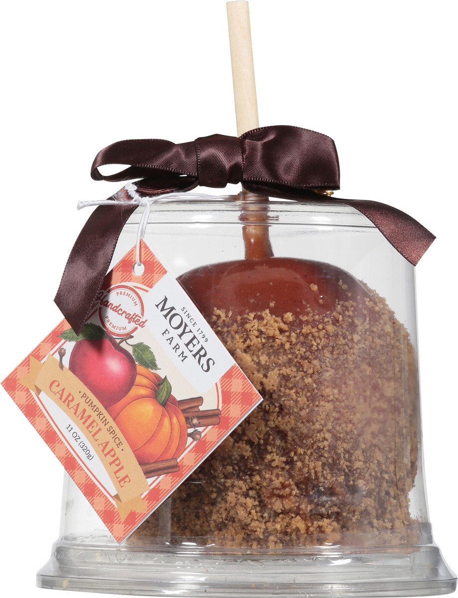 slide 13 of 13, Moyers Pumpkin Spice Caramel Apple 11 oz, 11 oz