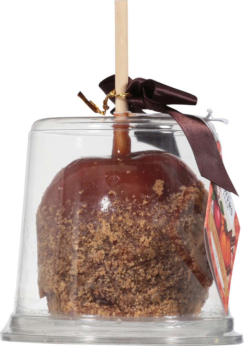 slide 9 of 13, Moyers Pumpkin Spice Caramel Apple 11 oz, 11 oz