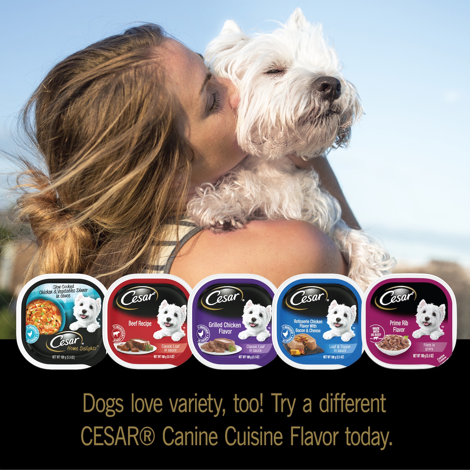 slide 7 of 7, Cesar Classic Loaf In Sauce Adult Soft Wet Dog Food Butcher’S Selects Variety Pack, Dry-Aged Ribeye Flavor And Filet Mignon Flavor, 3.5 oz