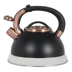Mr. Coffee Matte Black & Copper Kettle