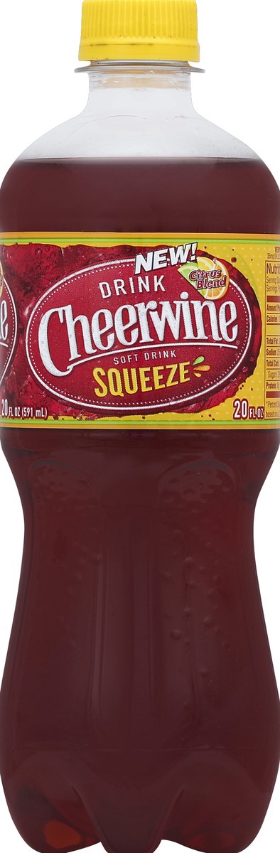 slide 1 of 5, Cheerwine Soft Drink - 20 oz, 20 oz