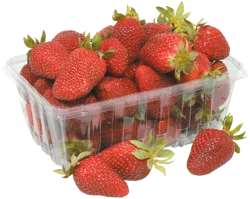 Local Blueberry Basket