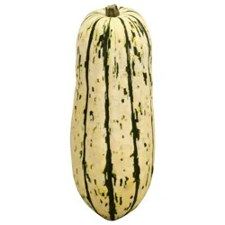 Fresh Delicata Squash
