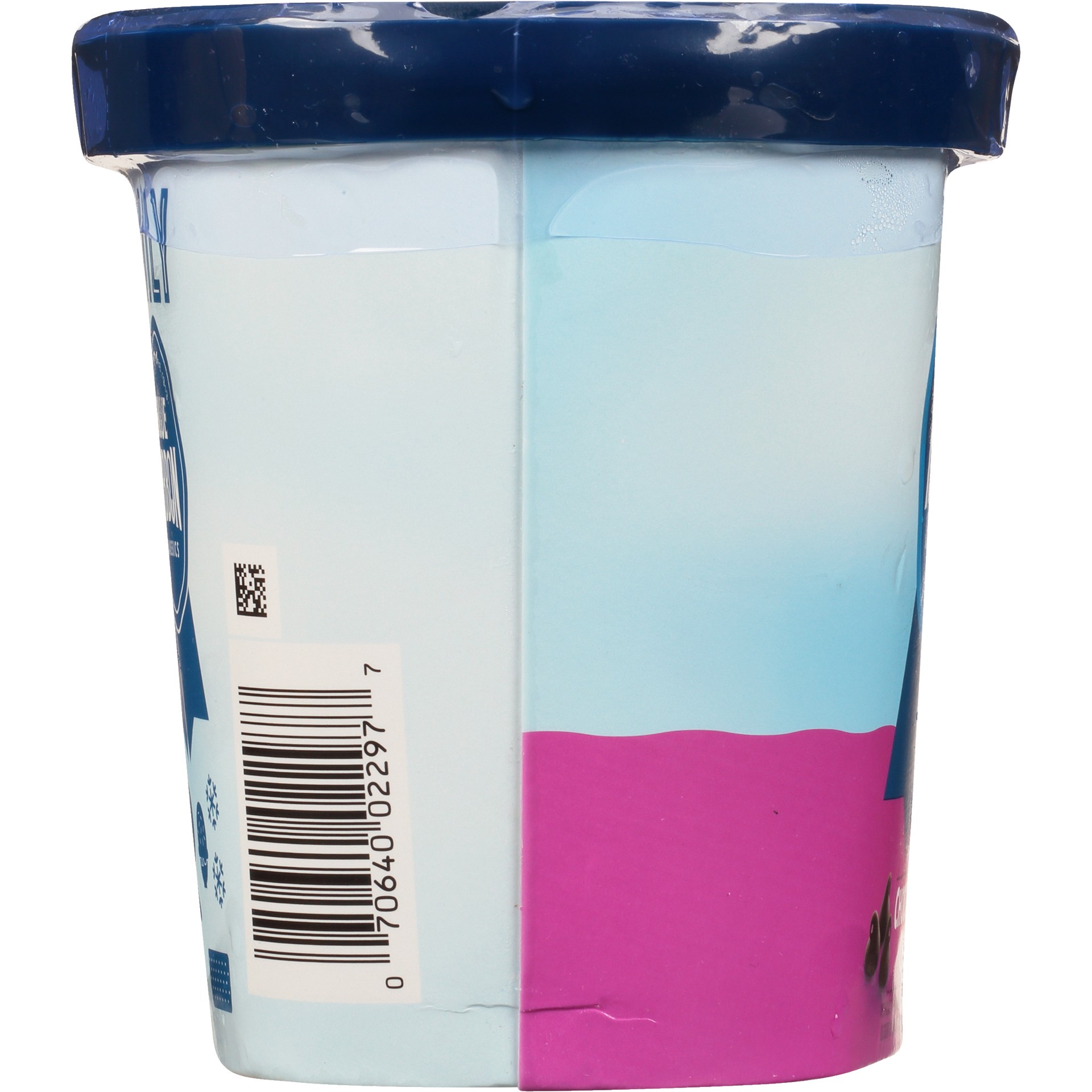 slide 3 of 7, Blue Ribbon Classics Chocolate Chip Frozen Dessert, 48 fl oz, 48 fl oz