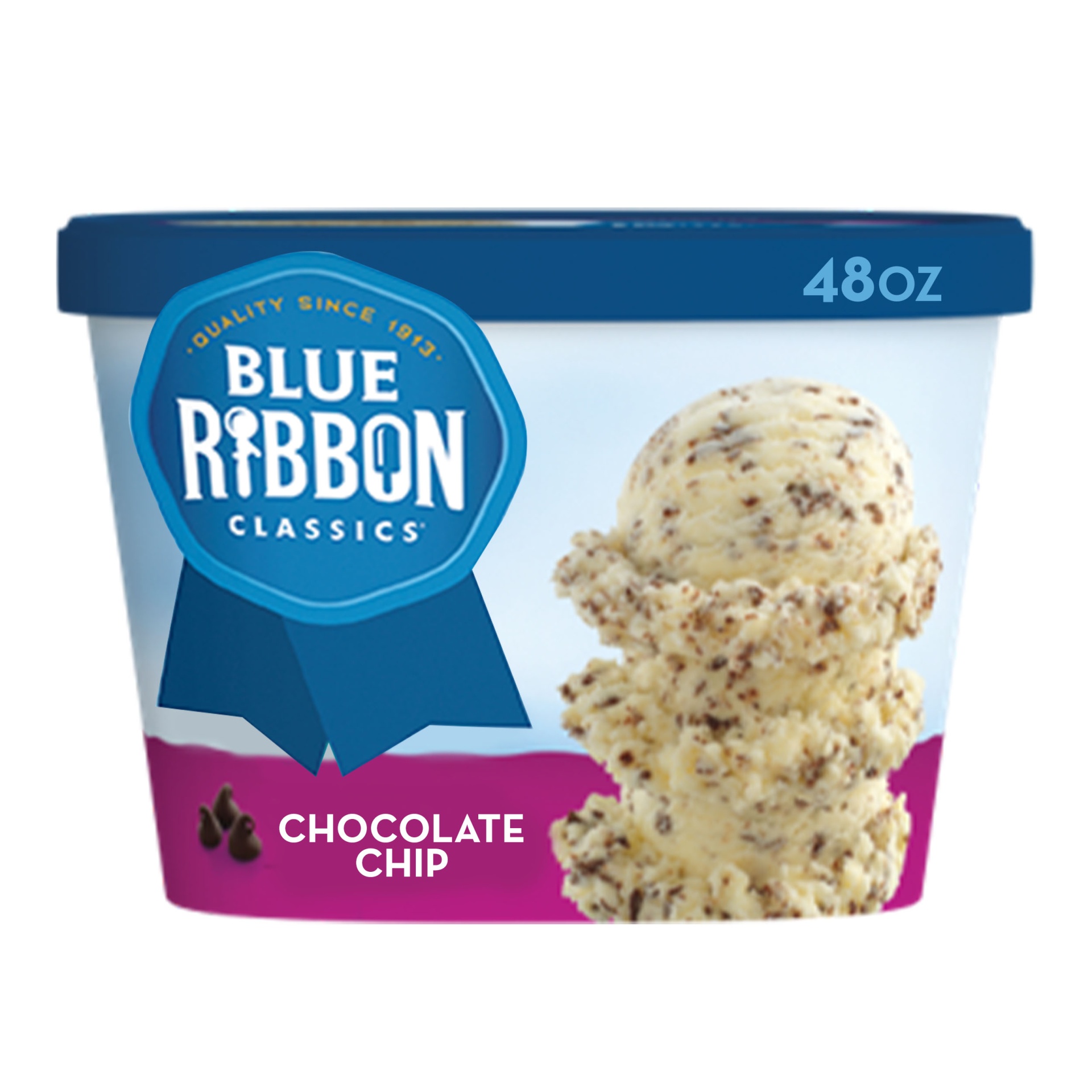 slide 1 of 1, Blue Ribbon Classics Chocolate Chip Frozen Dairy Dessert, 48 fl oz