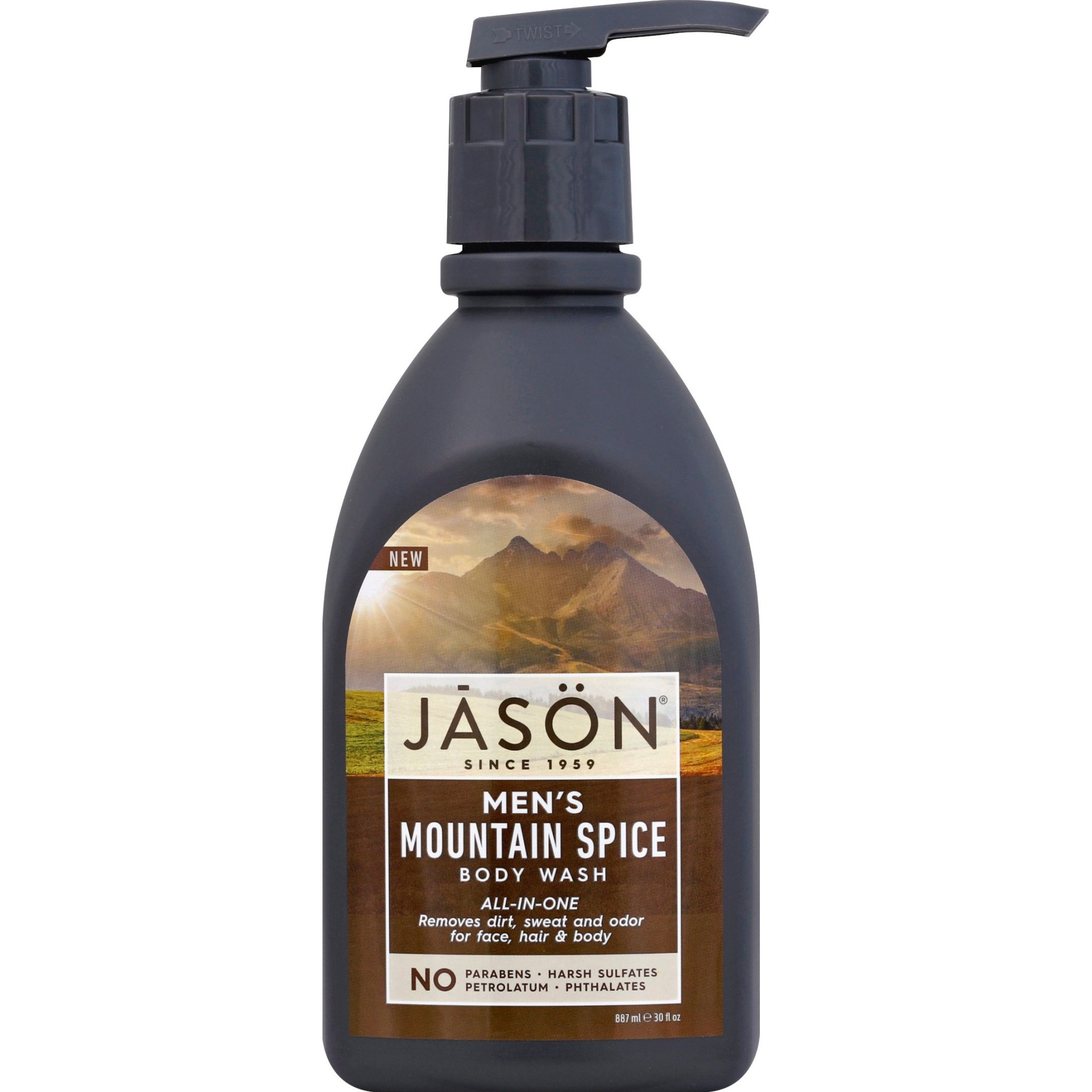 slide 1 of 1, Jason Natural Cosmetics Body Wash Mens All In One Mountain Spice, 30 fl oz