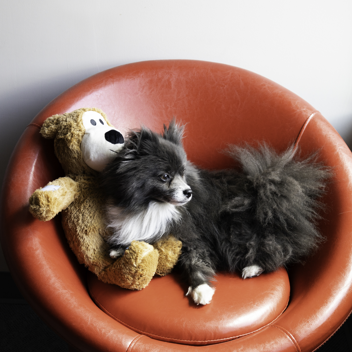 slide 4 of 4, Kong Wild Knots Jumbo Bear, 1 ct