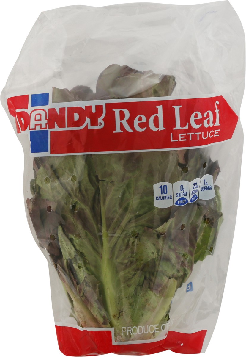 slide 6 of 9, Dandy Red Leaf Lettuce 1 ea, 1 ct