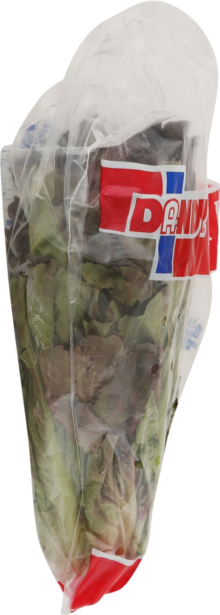 slide 3 of 9, Dandy Red Leaf Lettuce 1 ea, 1 ct
