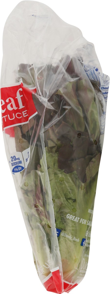 slide 9 of 9, Dandy Red Leaf Lettuce 1 ea, 1 ct