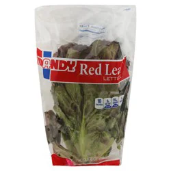 Dandy Red Leaf Lettuce 1 ea