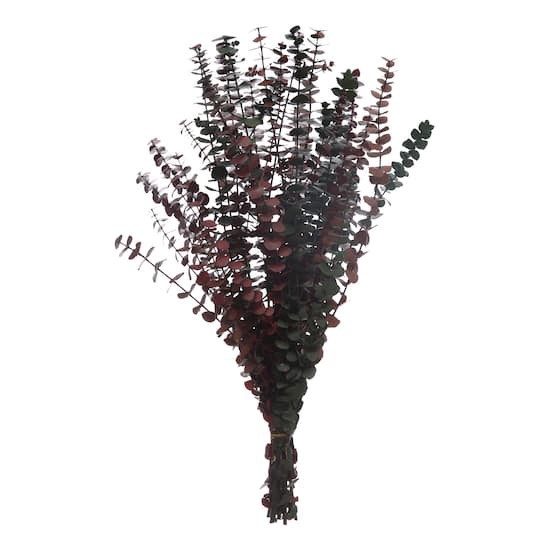slide 1 of 2, Dried Eucalyptus Bundle By Ashland, 24 in