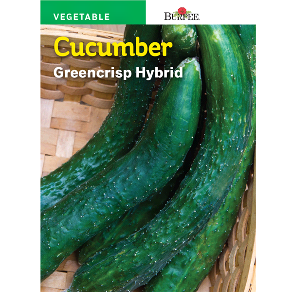 slide 1 of 1, Burpee Cucumber Fanfare Hybrid Seeds, 1 ct